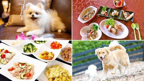 あなたの愛犬の食事を最適化