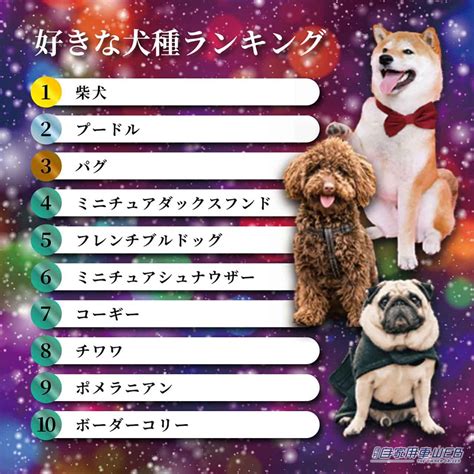 あなたの愛犬を賢くハウスに入れる方法