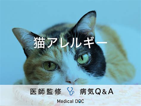 あなたは猫アレルギーですか？