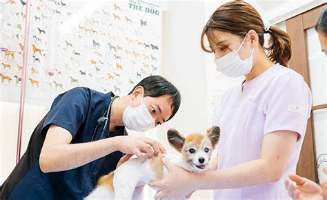 あまの動物病院立川: 動物たちの健康を守る頼りになる存在