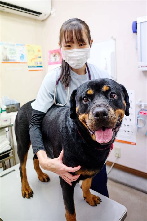 ありた動物病院