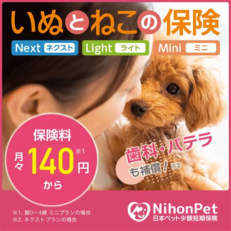 ありた動物病院でペットの健康を最優先