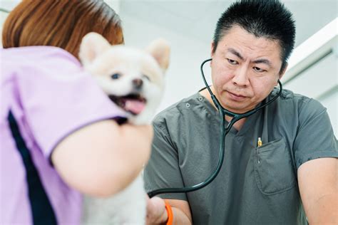 ありた動物病院の特徴