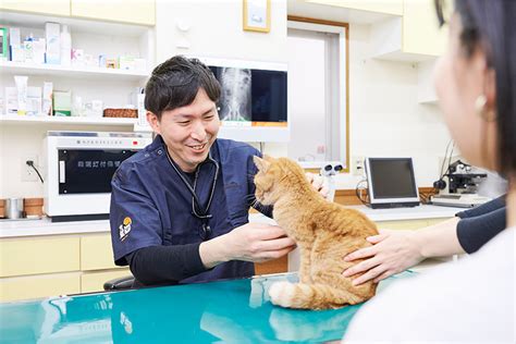 いくら 動物 病院のサービス