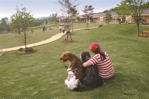 いこいドッグランで愛犬と最高の休日を過ごそう！