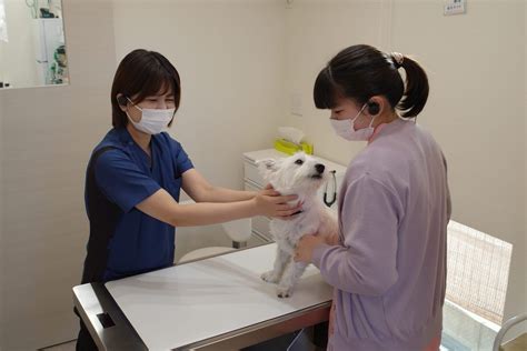 いまおか動物病院