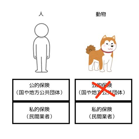 いまおか動物病院で賢く快適なペットの暮らしを手に入れる