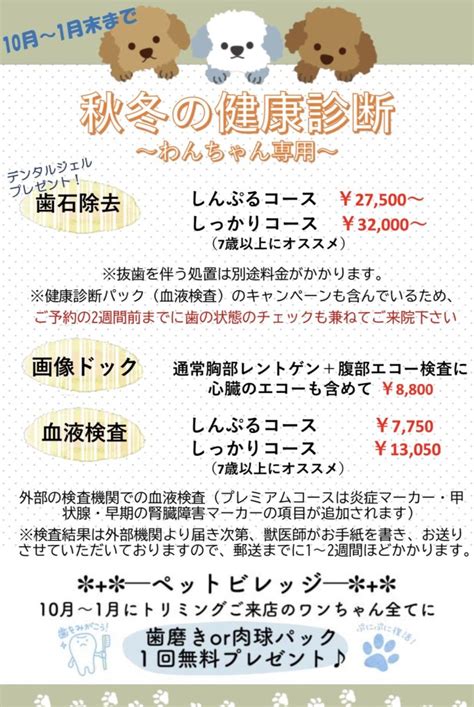 いま こが 動物病院で最高の水準のペットケアを体験する