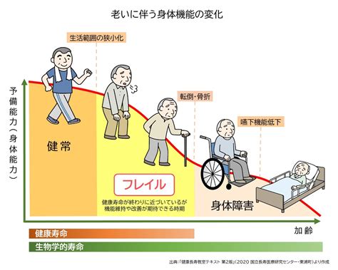 うさぎの加齢性よろめきに関する包括ガイド