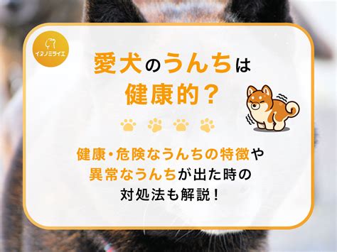 うんち犬で健康をチェック！ 愛犬のうんちが教えてくれること