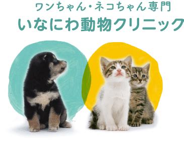 おおさがみ動物病院でワンちゃんネコちゃんの健康を守ろう！