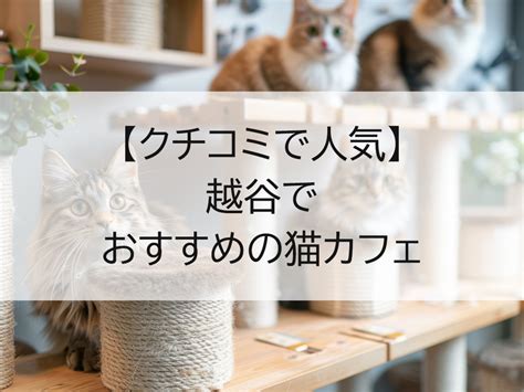 おおたか の 森の猫カフェガイド：選び方のコツとおすすめ店