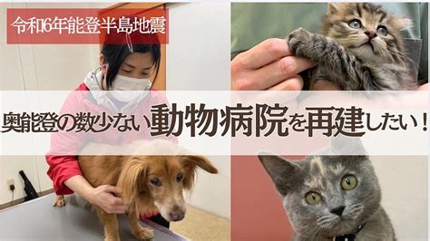 おおね動物病院でペットの健康を守る