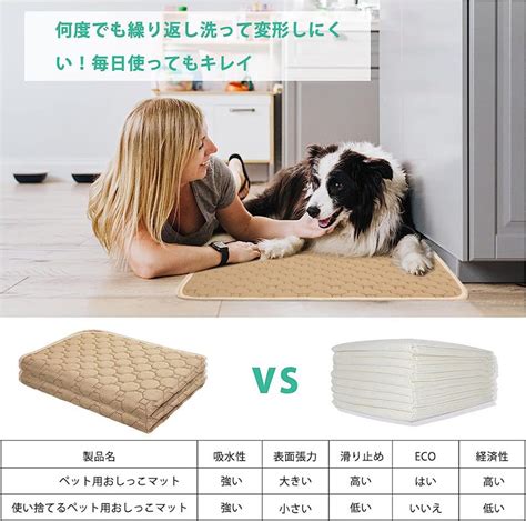 おしっこシート 犬の正しい使用方法と選び方