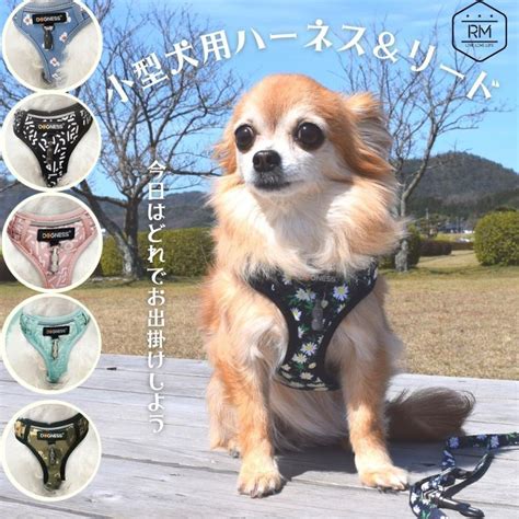 おしゃれで機能的な小型犬用ハーネスの選び方とおすすめ商品