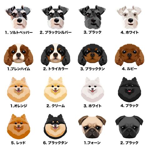 おしゃれな犬種