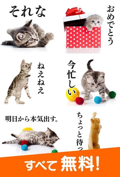 おすすめの無料猫スタンプアプリ