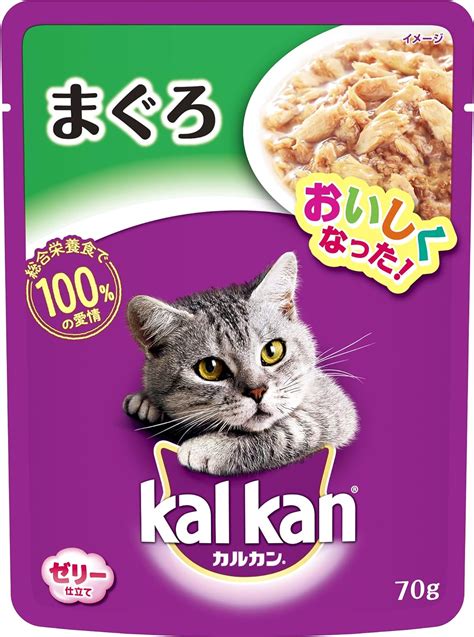 おすすめキャットフード（ウェットタイプ）で愛猫の健康と幸せをサポート