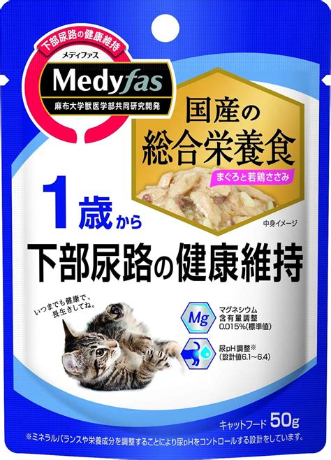 おすすめキャットフード ウェットで愛猫の健康と幸せをサポート