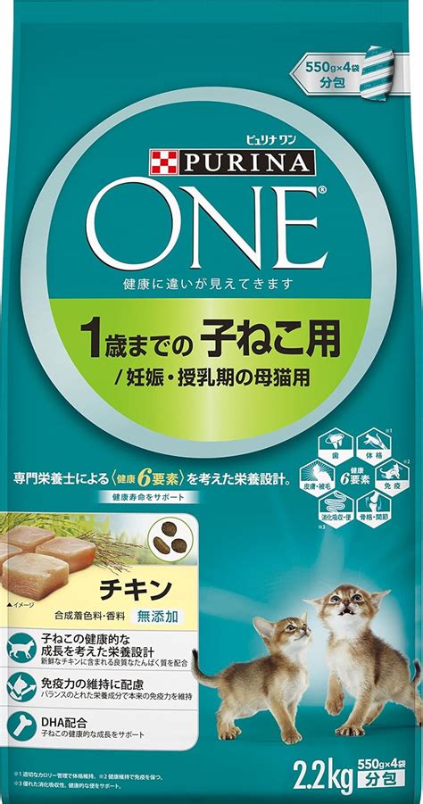 おすすめキャットフード ウェットの選び方と人気ランキング