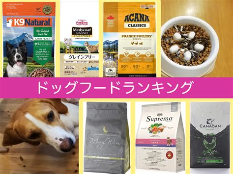 おすすめドッグフードランキング：愛犬の健康と幸せを守るためのガイド