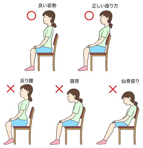 おすわりできない原因