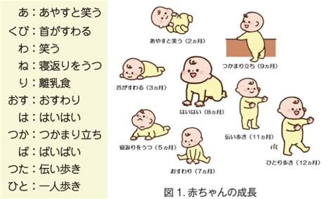 おすわりの発達段階