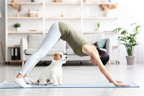 おすわりを教える：愛犬との絆を深める必修レッスン