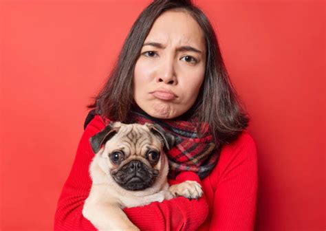 おすわり できない――ペットのしつけに悩む飼い主必見