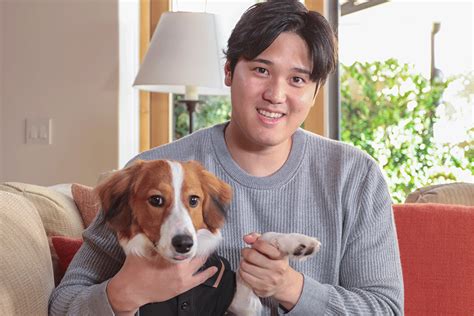 おもちゃのパピーが愛犬に与えるメリットと選び方のポイント