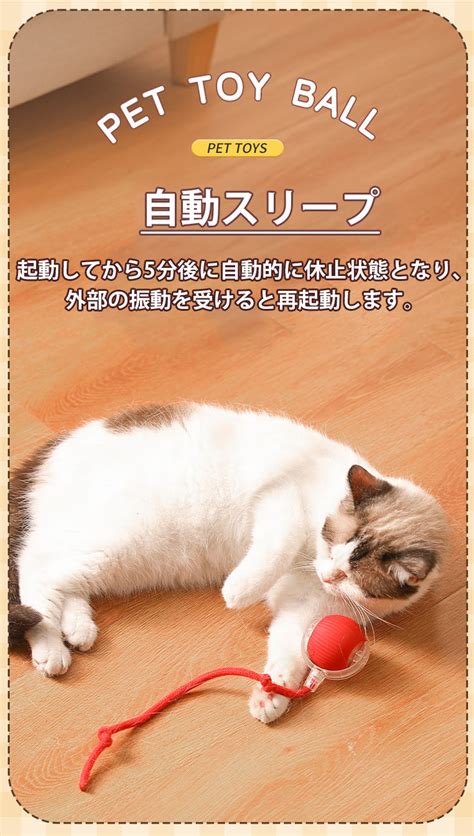 おもちゃ 猫：究極の癒しアイテム