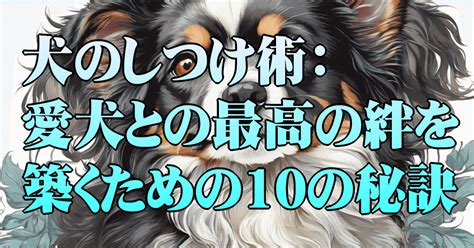 おんぶ犬: 愛犬との新しい絆を築くユニークな体験