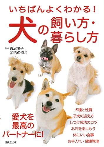 おんぶ犬の飼い方：初心者向けガイド