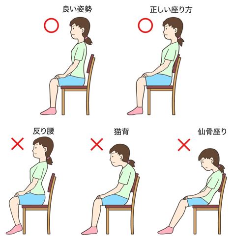 お座り練習の重要性