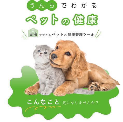 かい動物クリニックガイド：ペットの健康管理のすべて