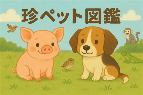 かえで アニマル: ペットとしての魅力と飼い方のコツ