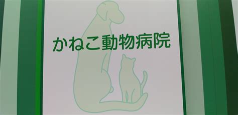 かねこ動物病院で愛するペットの健康を守る