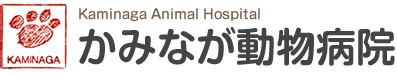 かみなが動物病院で最高のペットケアを提供しましょう