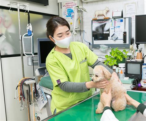 かみ な が 動物 病院