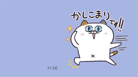 かわいい猫スタンプが無料でもらえる