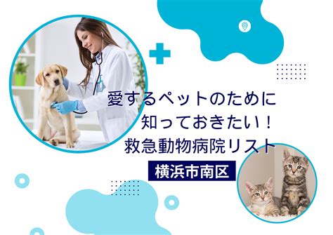 かわい動物病院で愛するペットの健康を守ろう