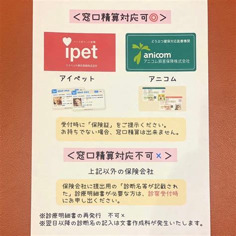 かわかみ動物病院でペットの健康を守りましょう