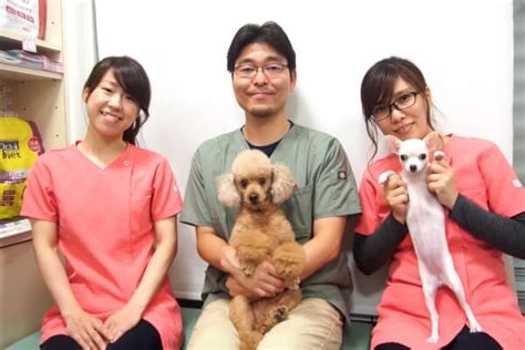 かわかみ動物病院のペットケア実践がもたらす新たな地平