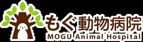 かわぐち 動物病院があなたとあなたの大切なペットのためにできること