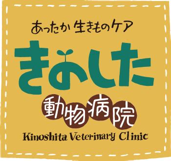 きのした動物病院が提供するペットケアのすべてガイド