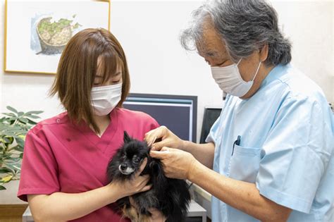 きのした動物病院の特徴