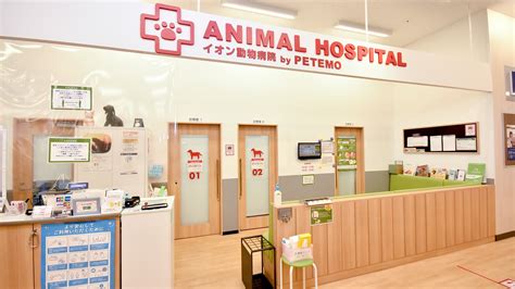 きらり動物病院であなたの大切なペットの健康を最優先にする