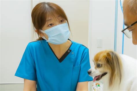 くるみ動物病院で、ペットの健康を徹底管理！