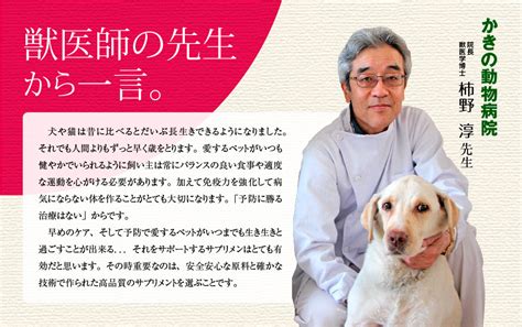 くるみ動物病院で愛するペットの健康を守りましょう！