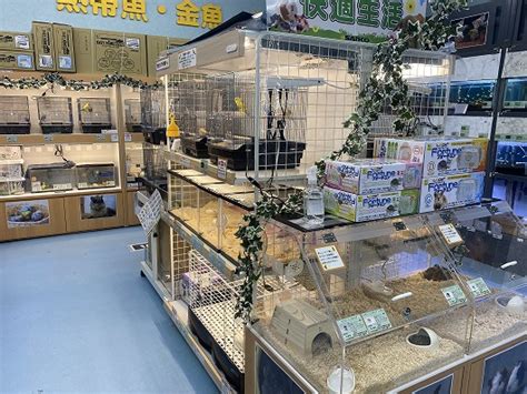 くろがねや 南アルプス店で快適な山登りを実現！初心者から上級者向けガイド